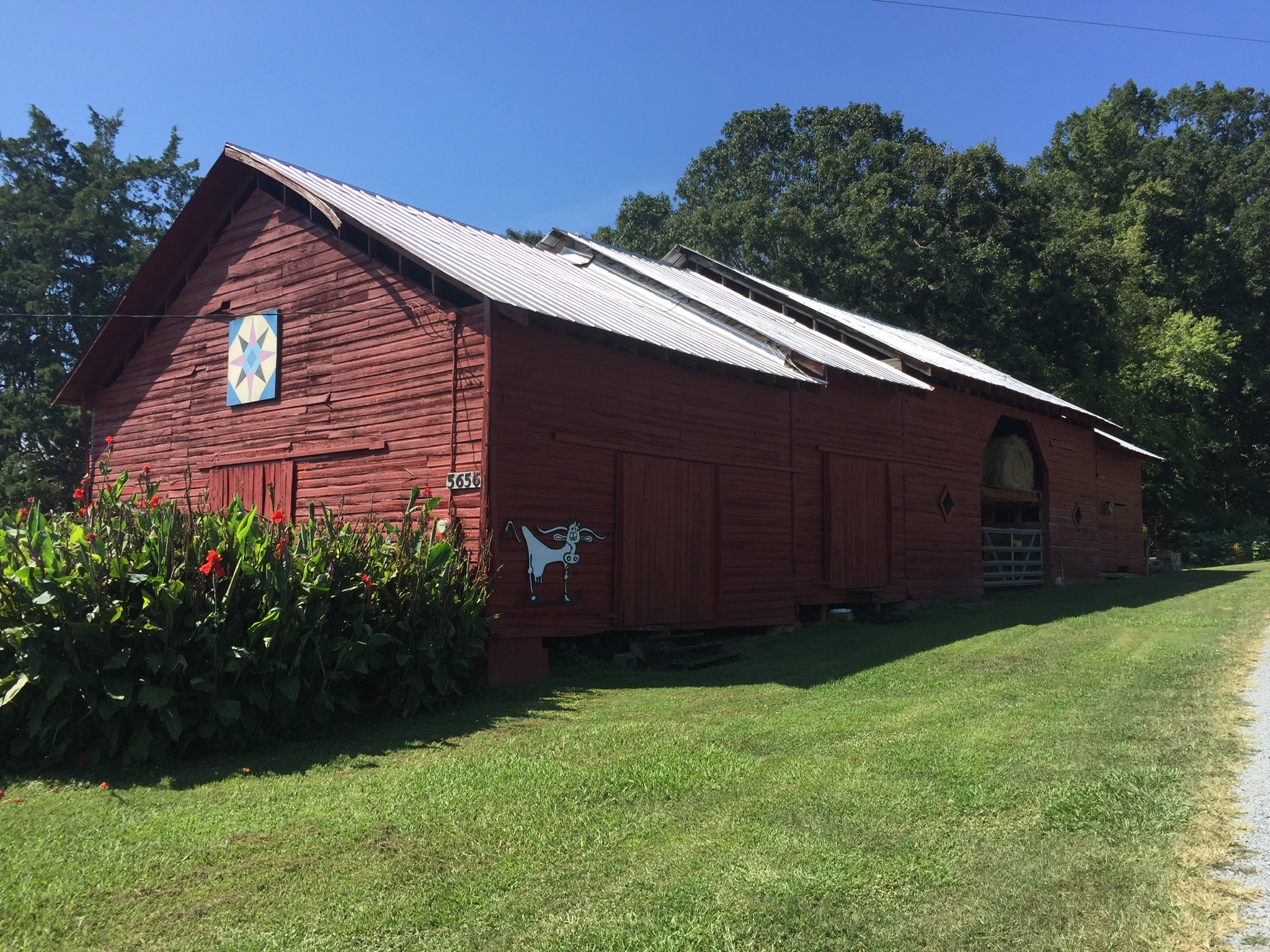 059D4E28-1A41-438E-9734-7C09C22167AE